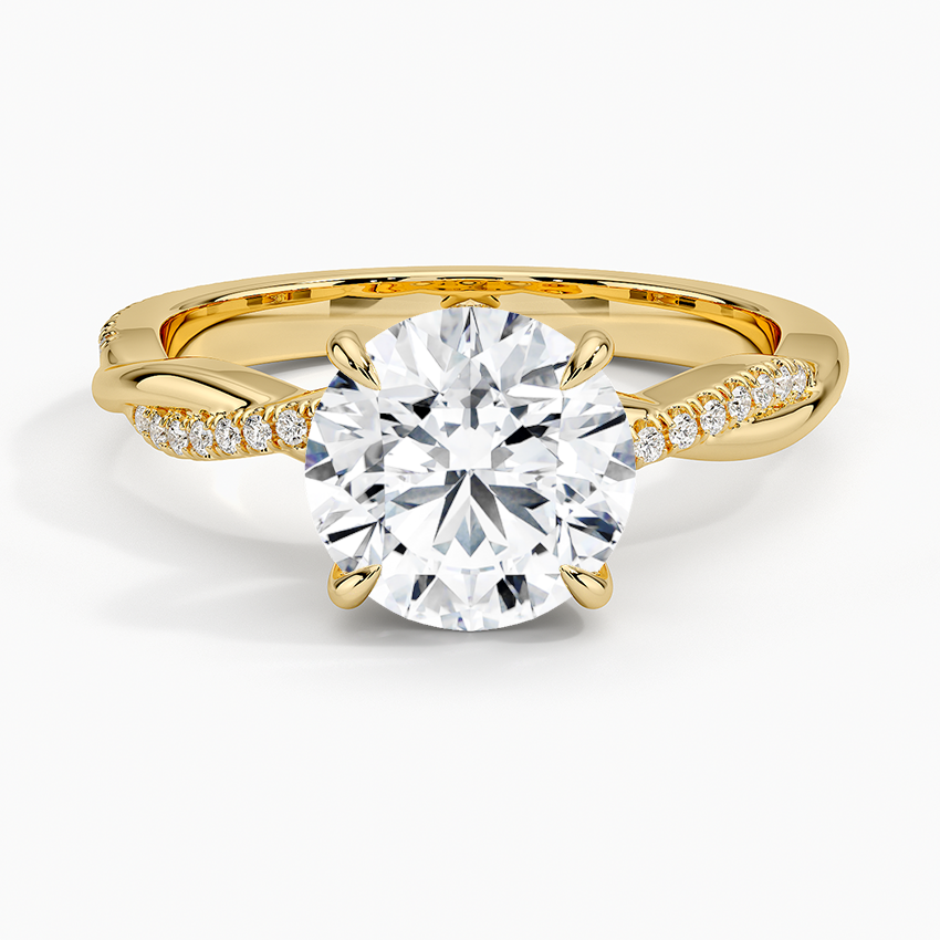 The Petite Accent Band