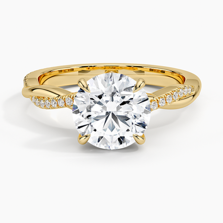 The Petite Accent Band