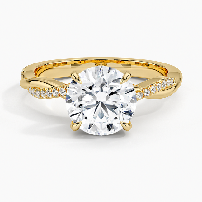 The Petite Accent Band